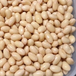 乾物大豆を美味しく煮る方法